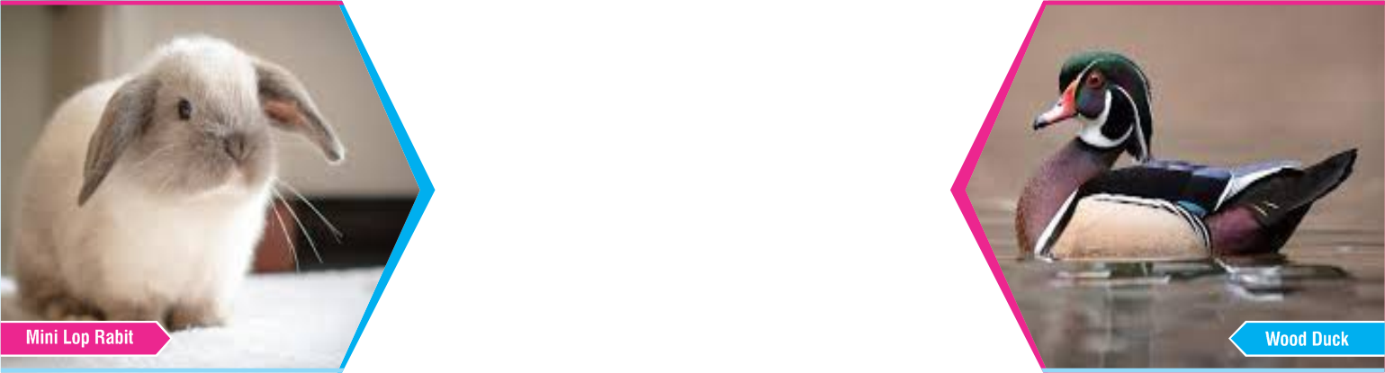 Slide Ten