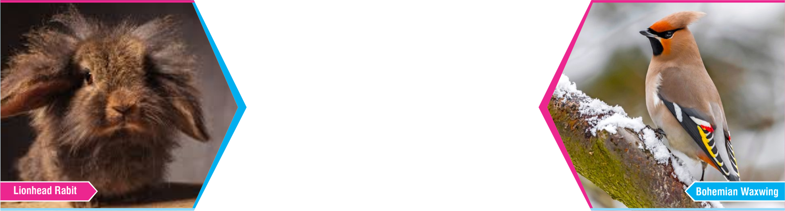 Slide Eleven