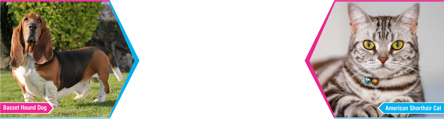 Slide Six