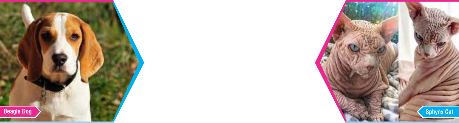 Slide Seven