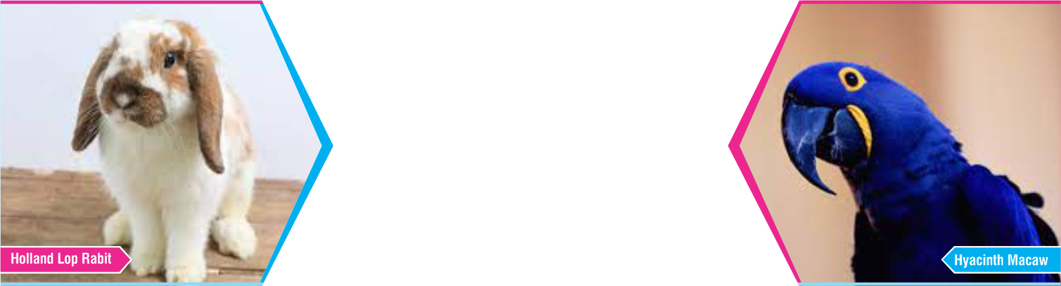 Slide Nine